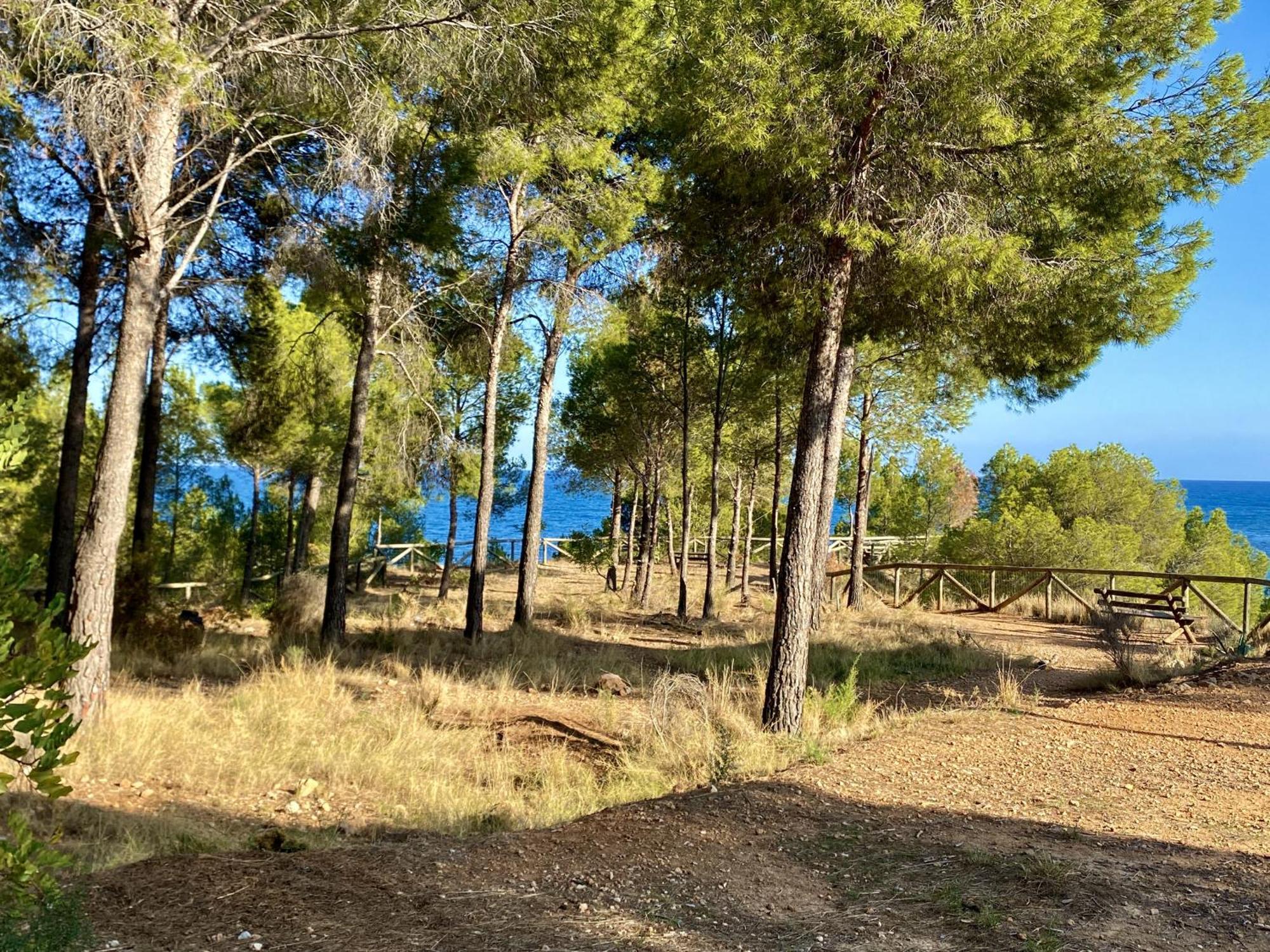 Terrace Isla De Altea Daire Dış mekan fotoğraf